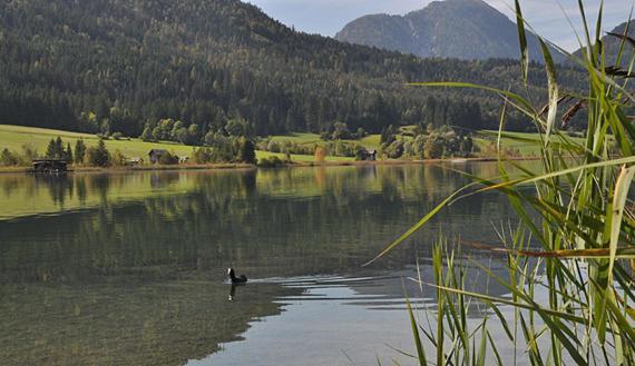 Haus Schluder - Familie Stanitzer Hotel Weissensee Buitenkant foto